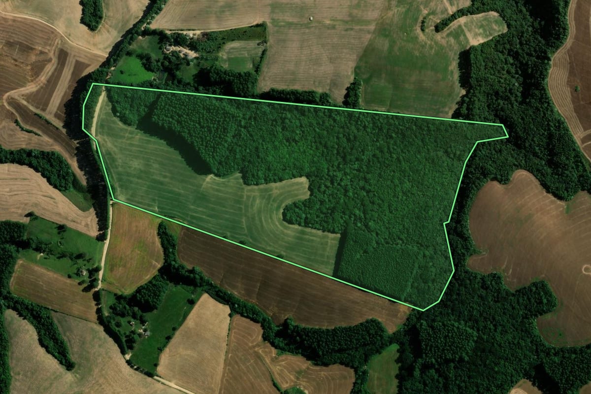Imagem de satélite do imóvel rural em Reserva (PR), com o contorno declarado no CAR desenhado por cima.