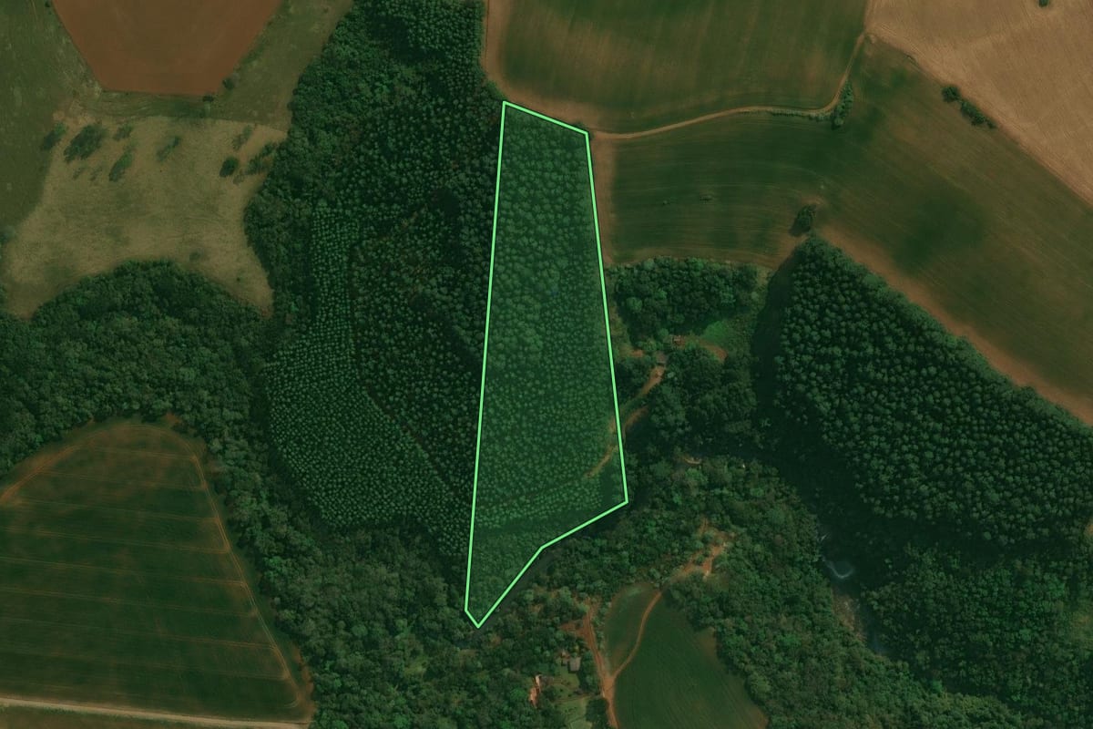 Imagem de satélite do imóvel rural em Reserva (PR), com o contorno declarado no CAR desenhado por cima.