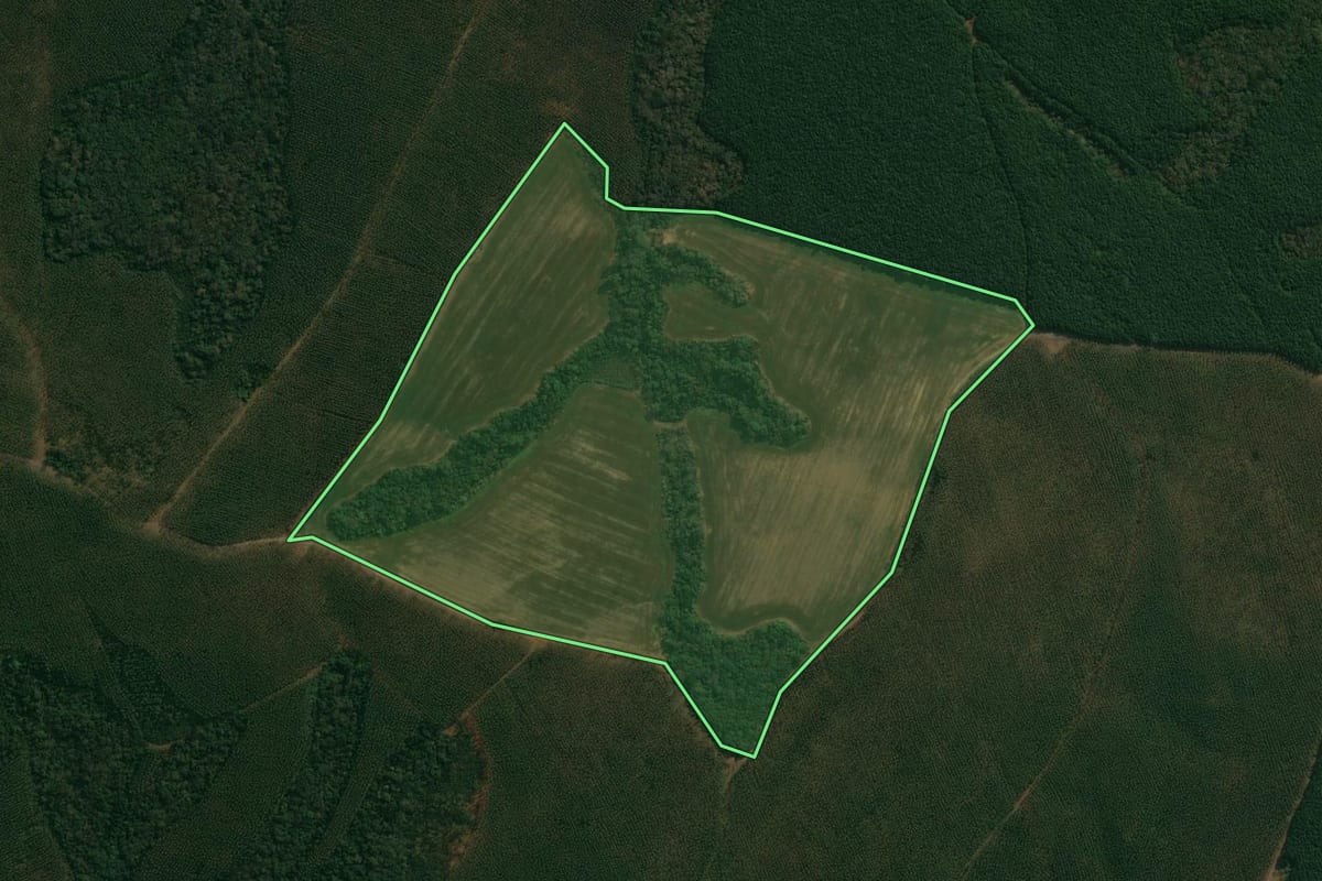Imagem de satélite do imóvel rural em Reserva (PR), com o contorno declarado no CAR desenhado por cima.