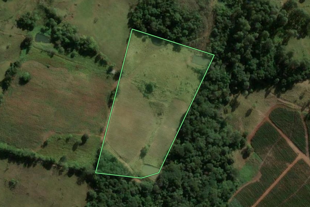 Imagem de satélite do imóvel rural em Reserva (PR), com o contorno declarado no CAR desenhado por cima.