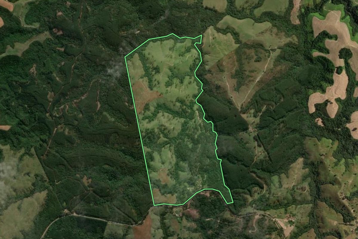 Imagem de satélite do imóvel rural em Reserva (PR), com o contorno declarado no CAR desenhado por cima.