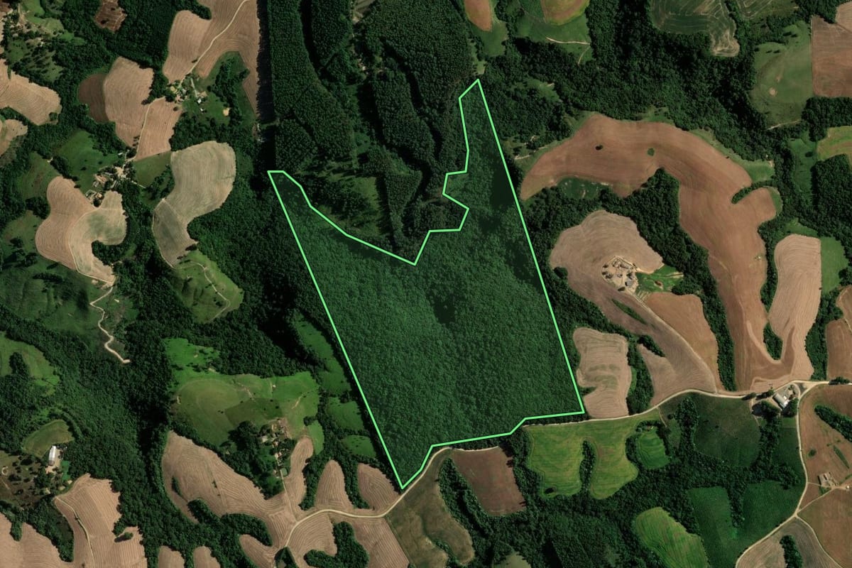 Imagem de satélite do imóvel rural em Reserva (PR), com o contorno declarado no CAR desenhado por cima.