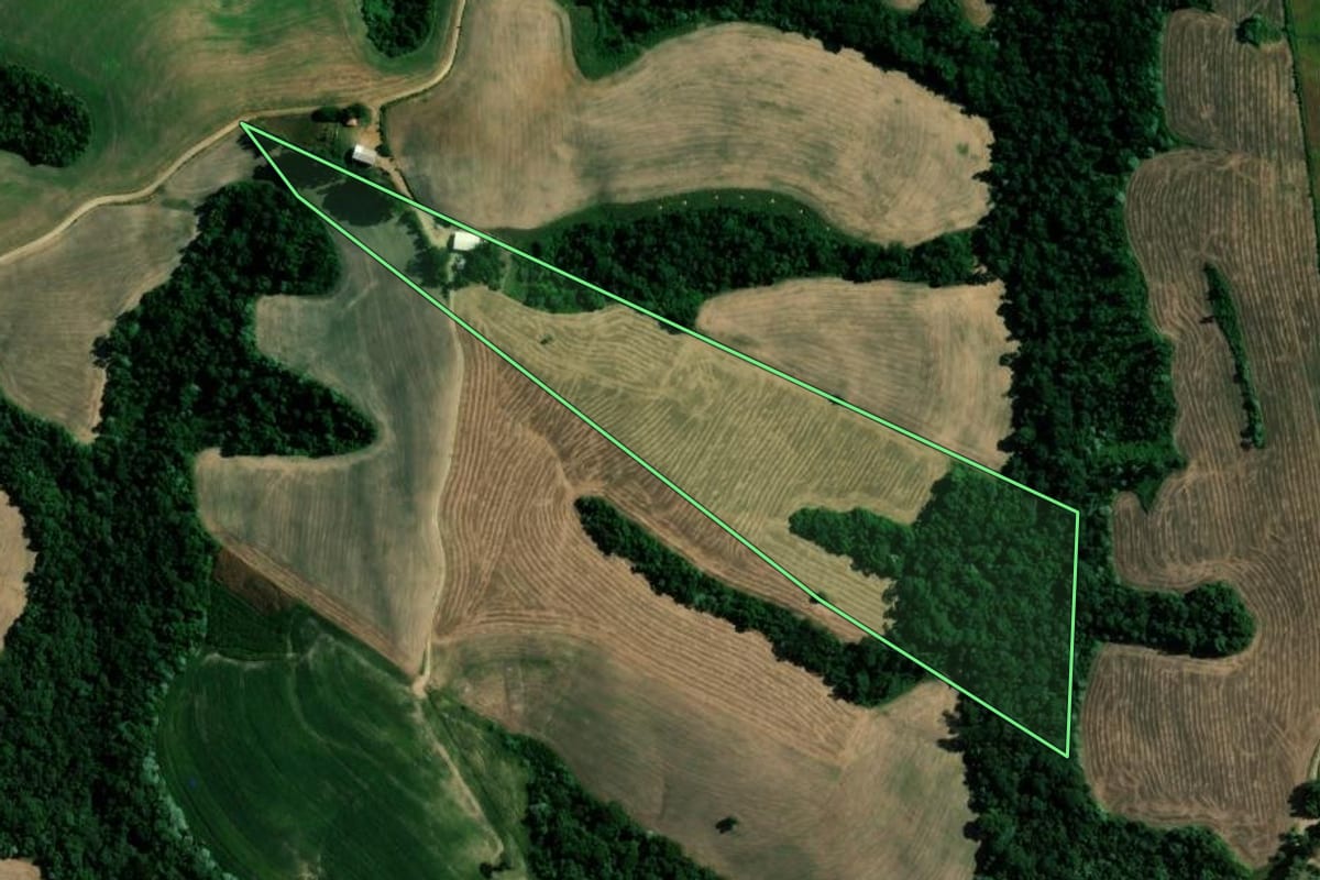Imagem de satélite do imóvel rural em Reserva (PR), com o contorno declarado no CAR desenhado por cima.