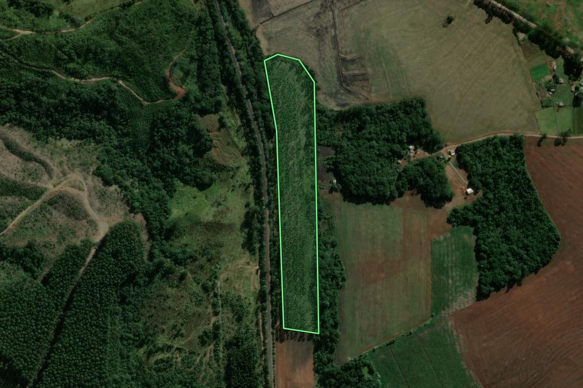 Imagem de satélite do imóvel rural em Reserva (PR), com o contorno declarado no CAR desenhado por cima.