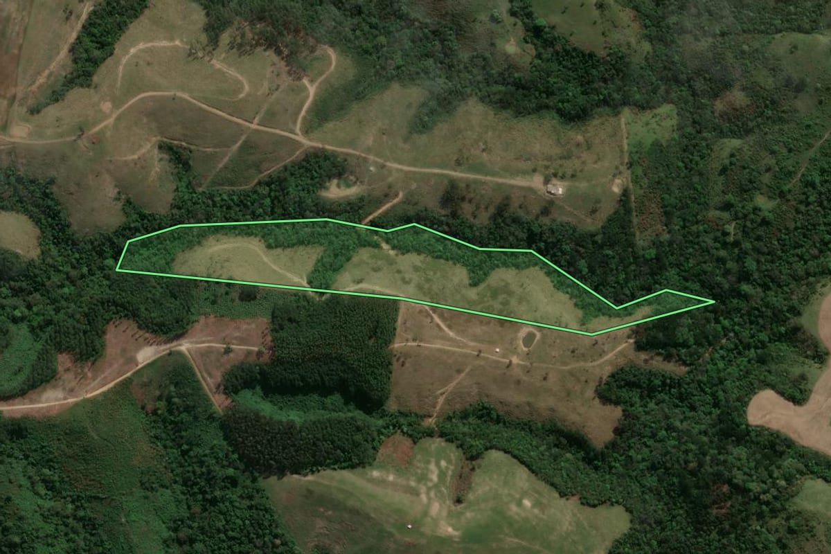 Imagem de satélite do imóvel rural em Reserva (PR), com o contorno declarado no CAR desenhado por cima.
