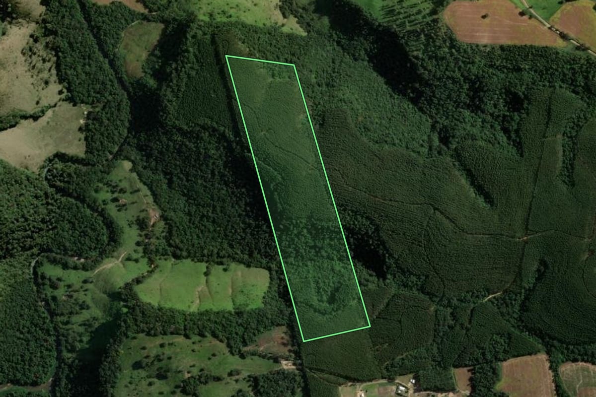 Imagem de satélite do imóvel rural em Reserva (PR), com o contorno declarado no CAR desenhado por cima.