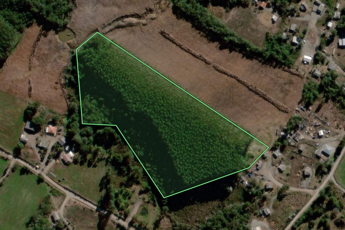 Imagem de satélite do imóvel rural em Reserva (PR), com o contorno declarado no CAR desenhado por cima.