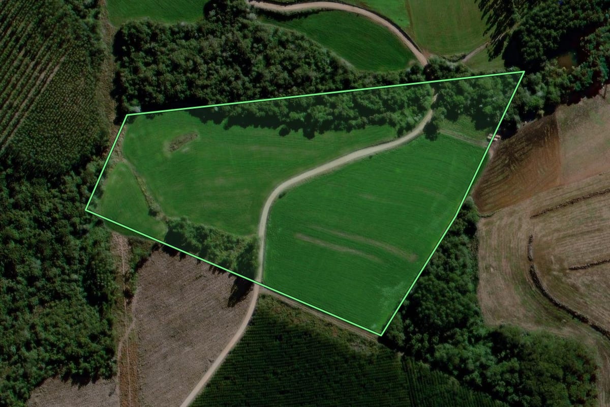 Imagem de satélite do imóvel rural em Reserva (PR), com o contorno declarado no CAR desenhado por cima.
