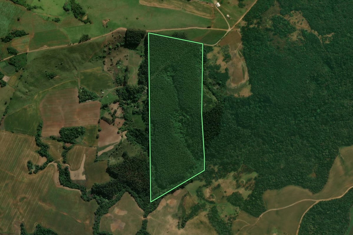 Imagem de satélite do imóvel rural em Reserva (PR), com o contorno declarado no CAR desenhado por cima.