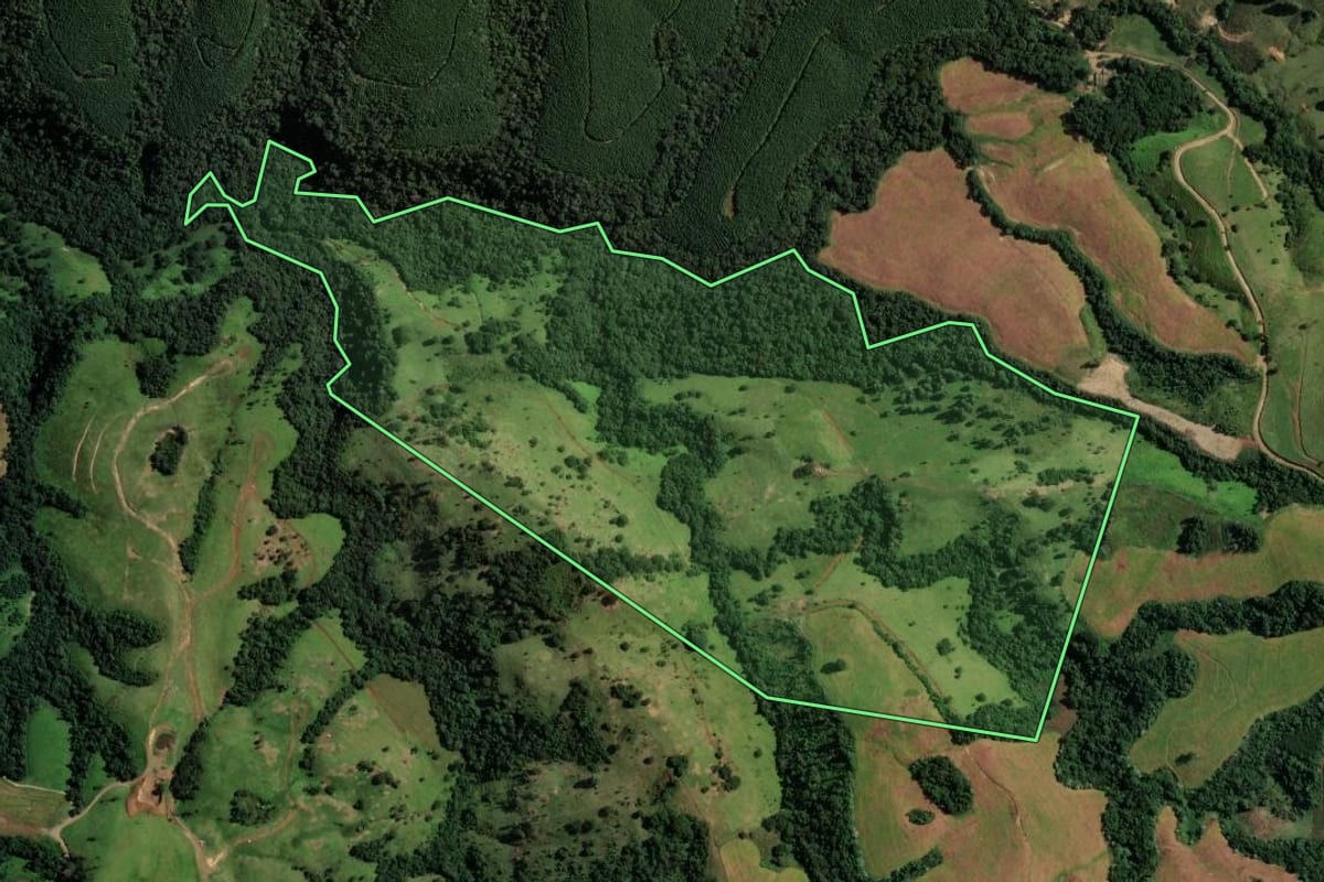 Imagem de satélite do imóvel rural em Reserva (PR), com o contorno declarado no CAR desenhado por cima.