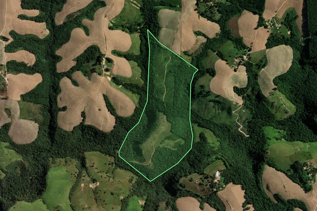 Imagem de satélite do imóvel rural em Reserva (PR), com o contorno declarado no CAR desenhado por cima.