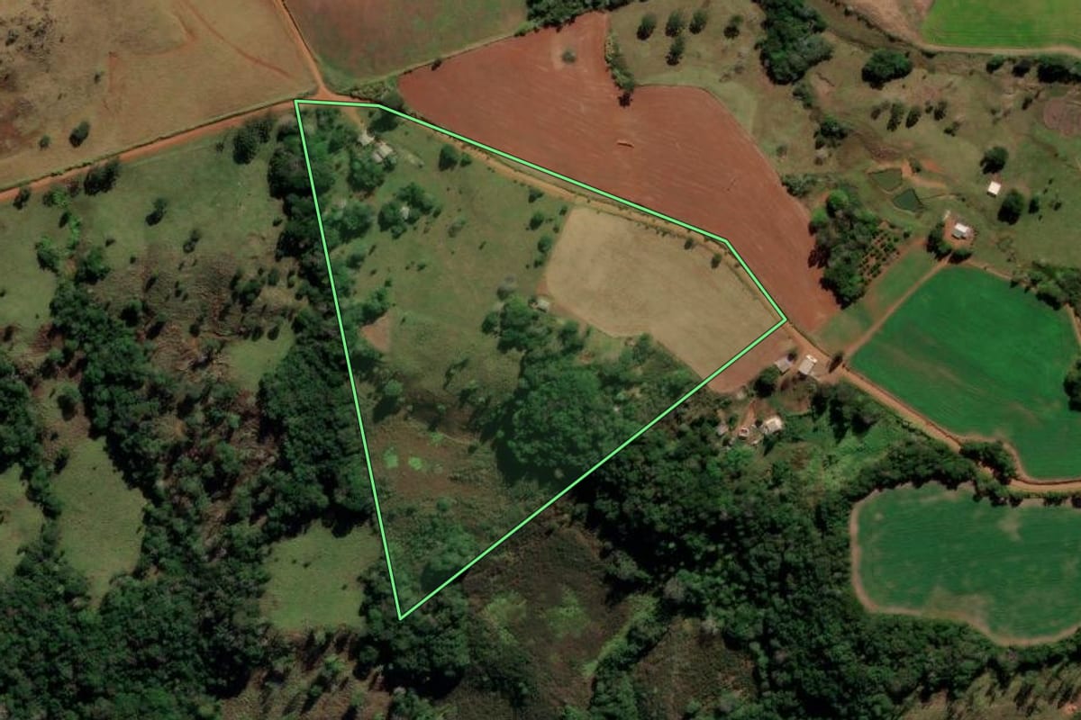 Imagem de satélite do imóvel rural em Reserva do Iguaçu (PR), com o contorno declarado no CAR desenhado por cima.