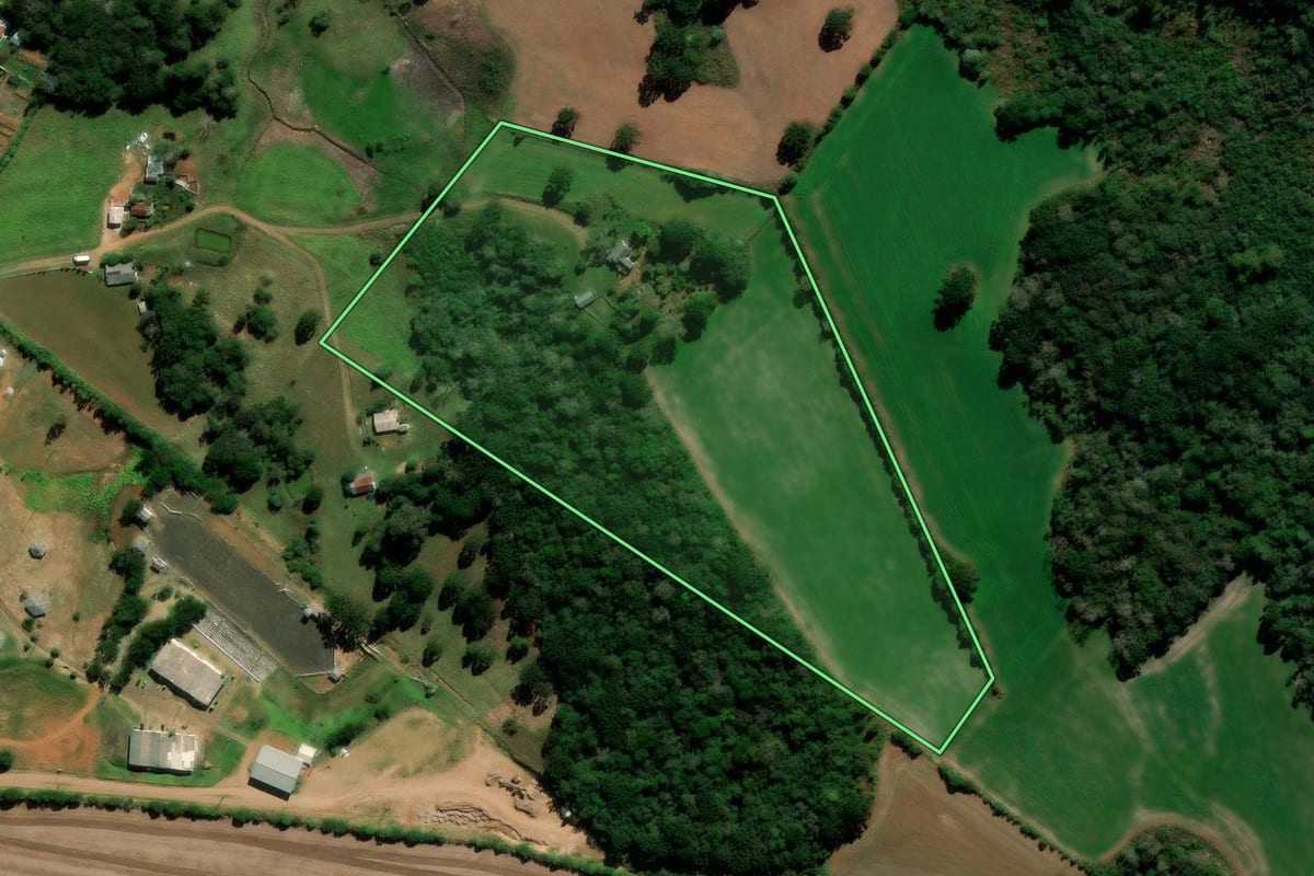 Imagem de satélite do imóvel rural em Reserva do Iguaçu (PR), com o contorno declarado no CAR desenhado por cima.