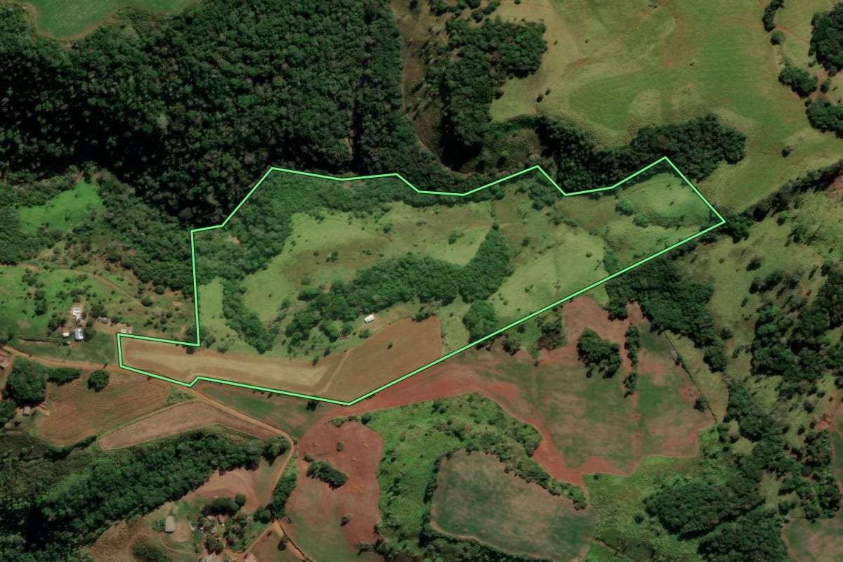 Imagem de satélite do imóvel rural em Reserva do Iguaçu (PR), com o contorno declarado no CAR desenhado por cima.