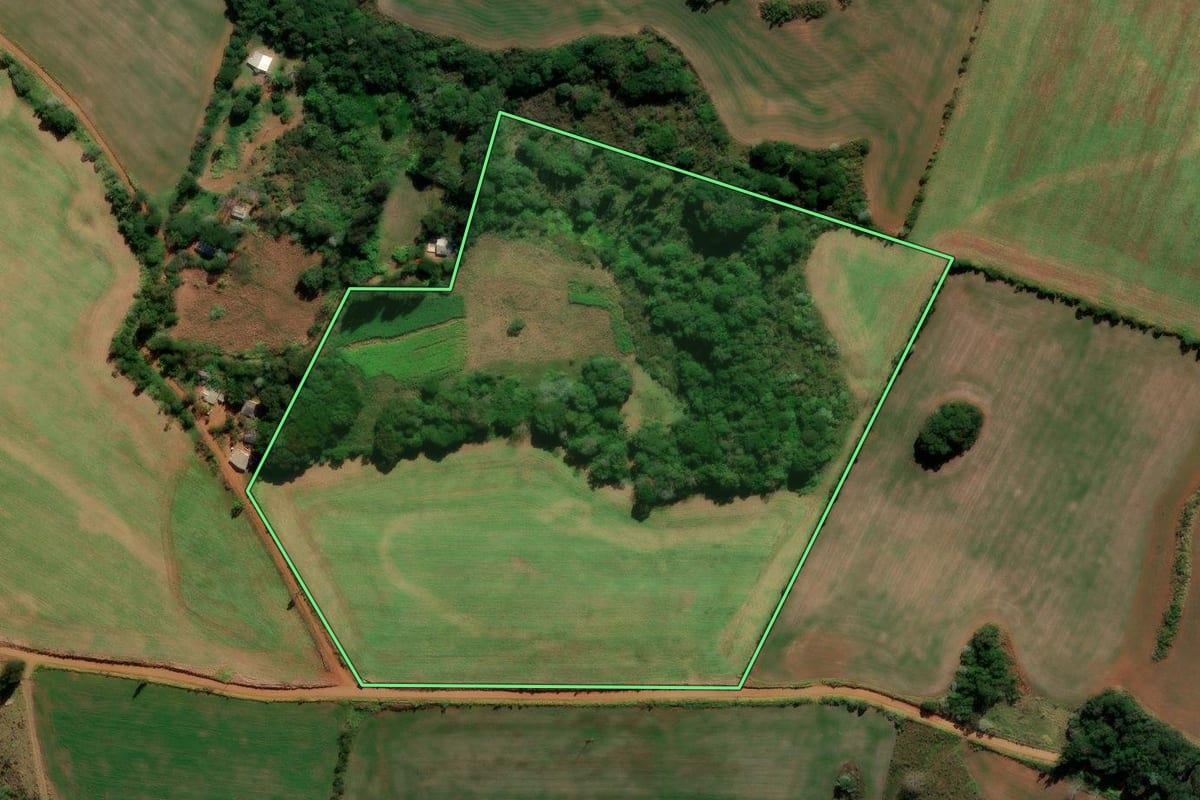 Imagem de satélite do imóvel rural em Reserva do Iguaçu (PR), com o contorno declarado no CAR desenhado por cima.