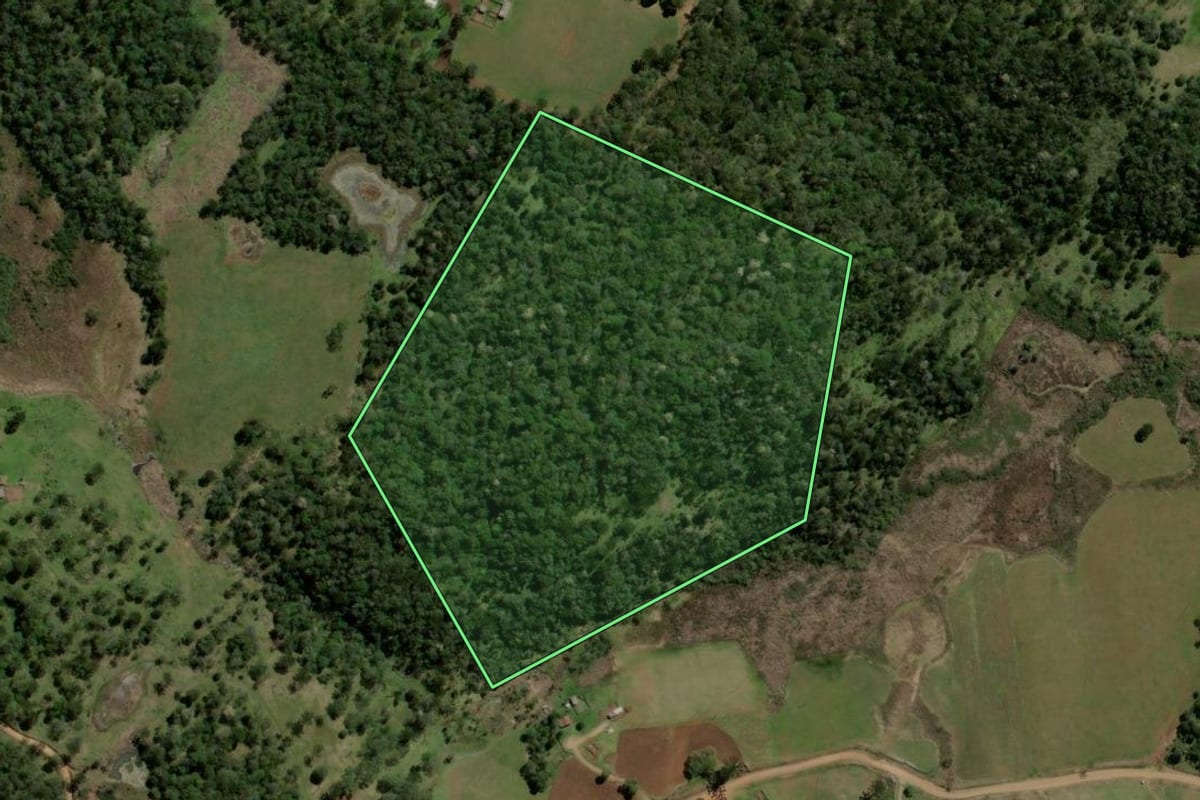 Imagem de satélite do imóvel rural em Reserva do Iguaçu (PR), com o contorno declarado no CAR desenhado por cima.