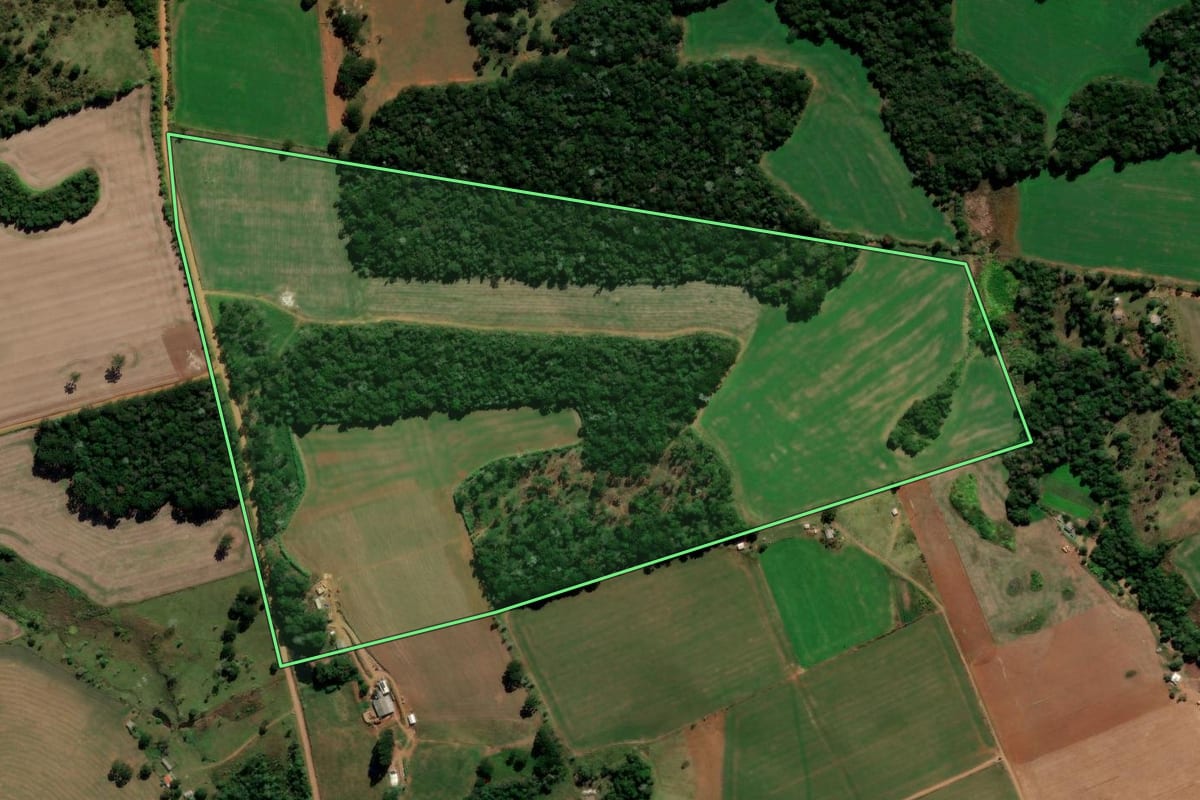 Imagem de satélite do imóvel rural em Reserva do Iguaçu (PR), com o contorno declarado no CAR desenhado por cima.