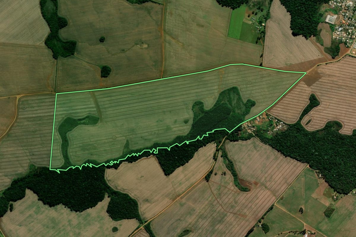 Imagem de satélite do imóvel rural em Reserva do Iguaçu (PR), com o contorno declarado no CAR desenhado por cima.