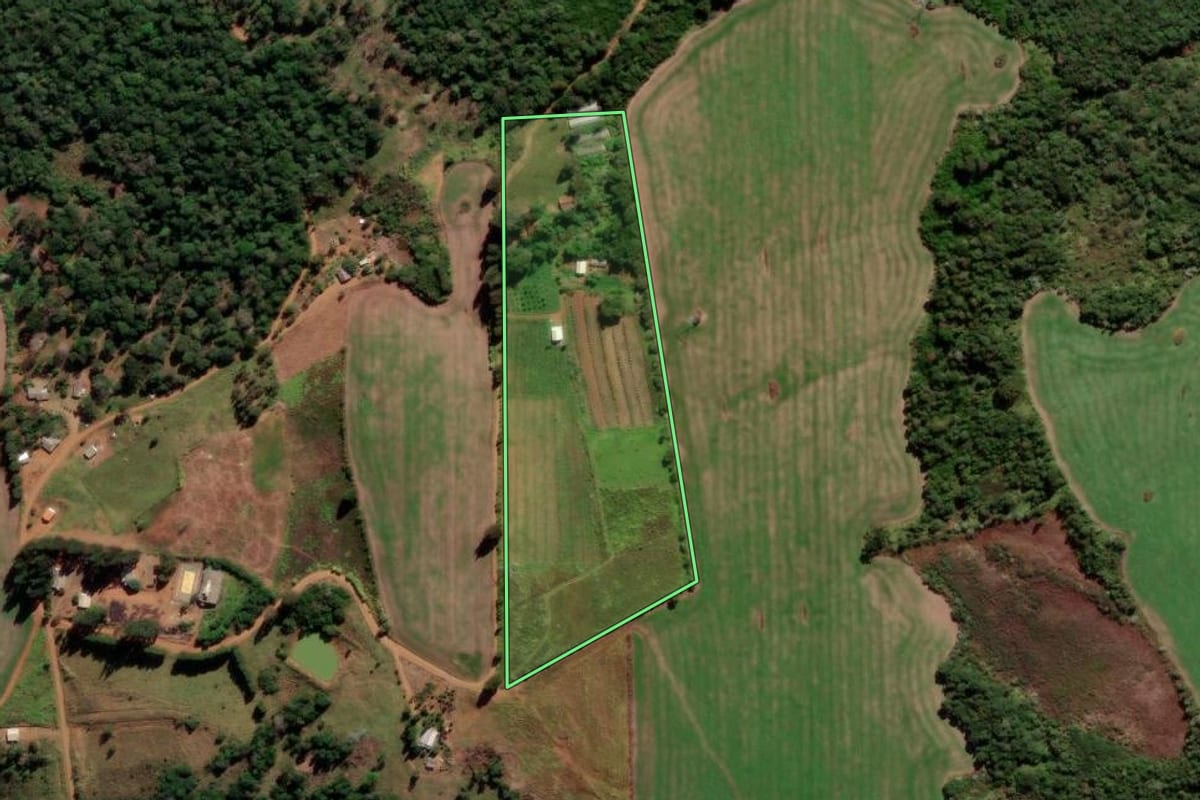 Imagem de satélite do imóvel rural em Reserva do Iguaçu (PR), com o contorno declarado no CAR desenhado por cima.