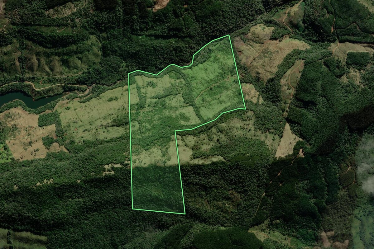 Imagem de satélite do imóvel rural em Reserva do Iguaçu (PR), com o contorno declarado no CAR desenhado por cima.