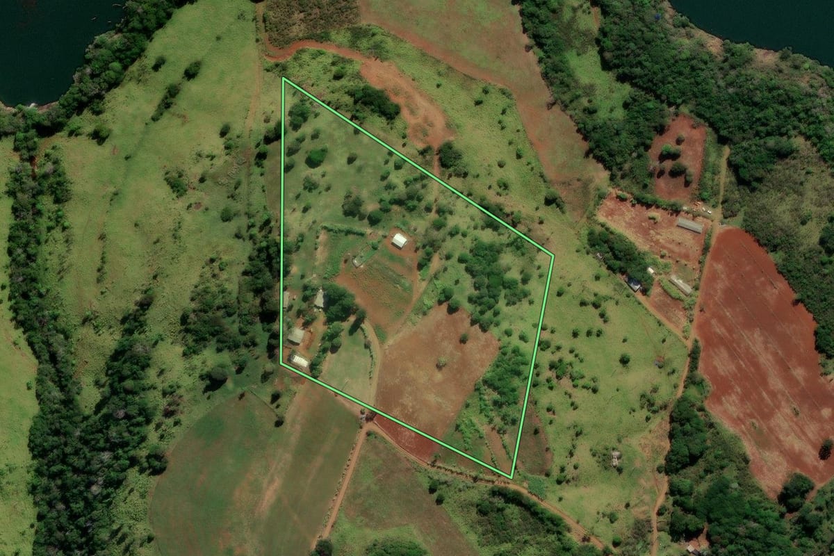 Imagem de satélite do imóvel rural em Reserva do Iguaçu (PR), com o contorno declarado no CAR desenhado por cima.