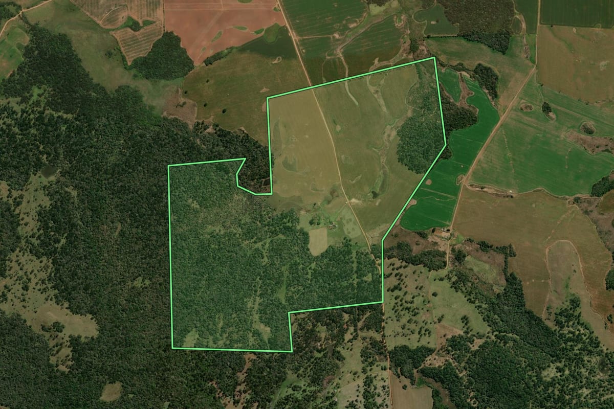 Imagem de satélite do imóvel rural em Reserva do Iguaçu (PR), com o contorno declarado no CAR desenhado por cima.
