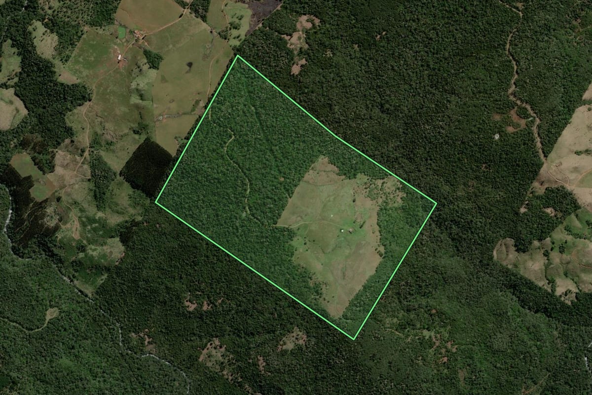 Imagem de satélite do imóvel rural em Reserva do Iguaçu (PR), com o contorno declarado no CAR desenhado por cima.