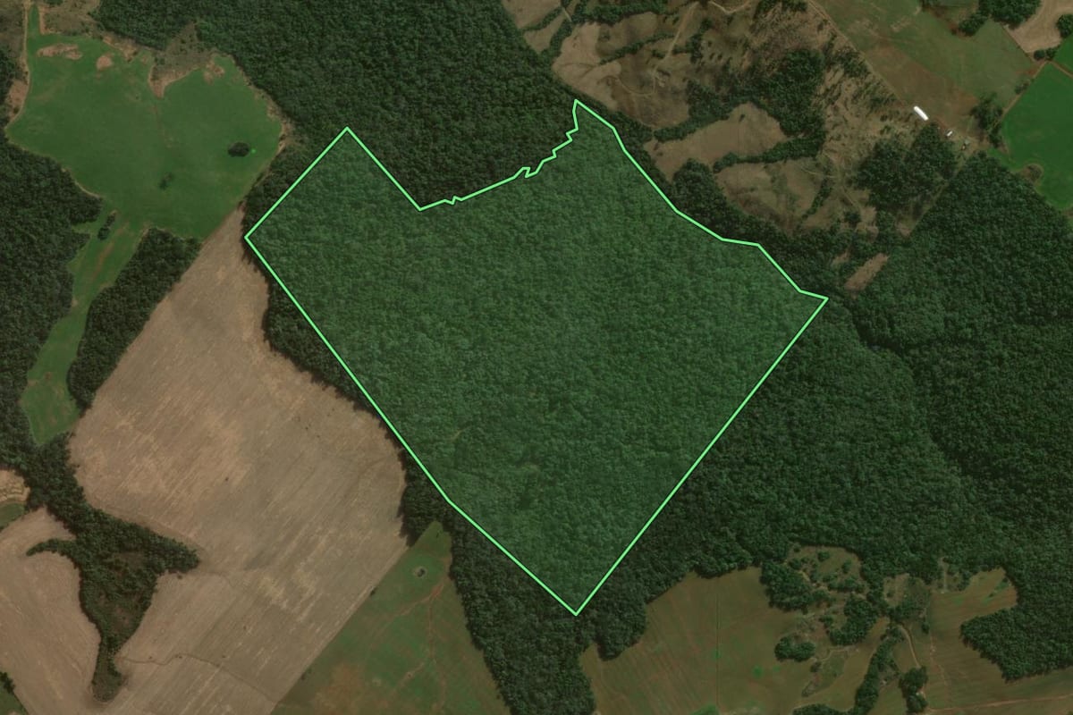 Imagem de satélite do imóvel rural em Reserva do Iguaçu (PR), com o contorno declarado no CAR desenhado por cima.