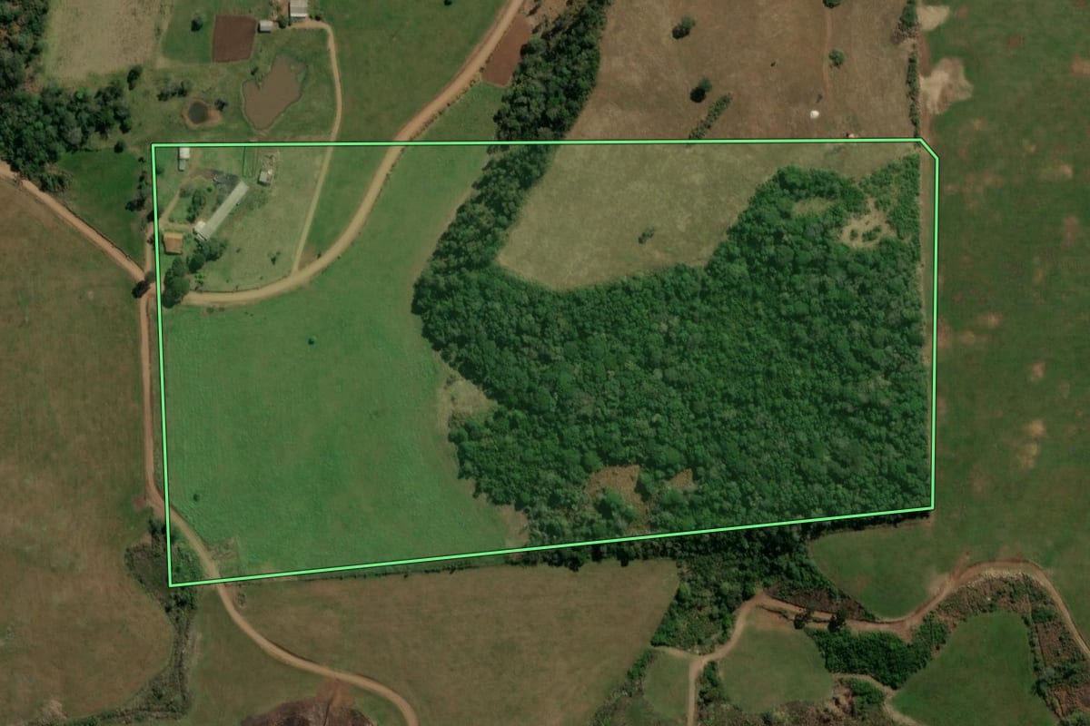 Imagem de satélite do imóvel rural em Reserva do Iguaçu (PR), com o contorno declarado no CAR desenhado por cima.