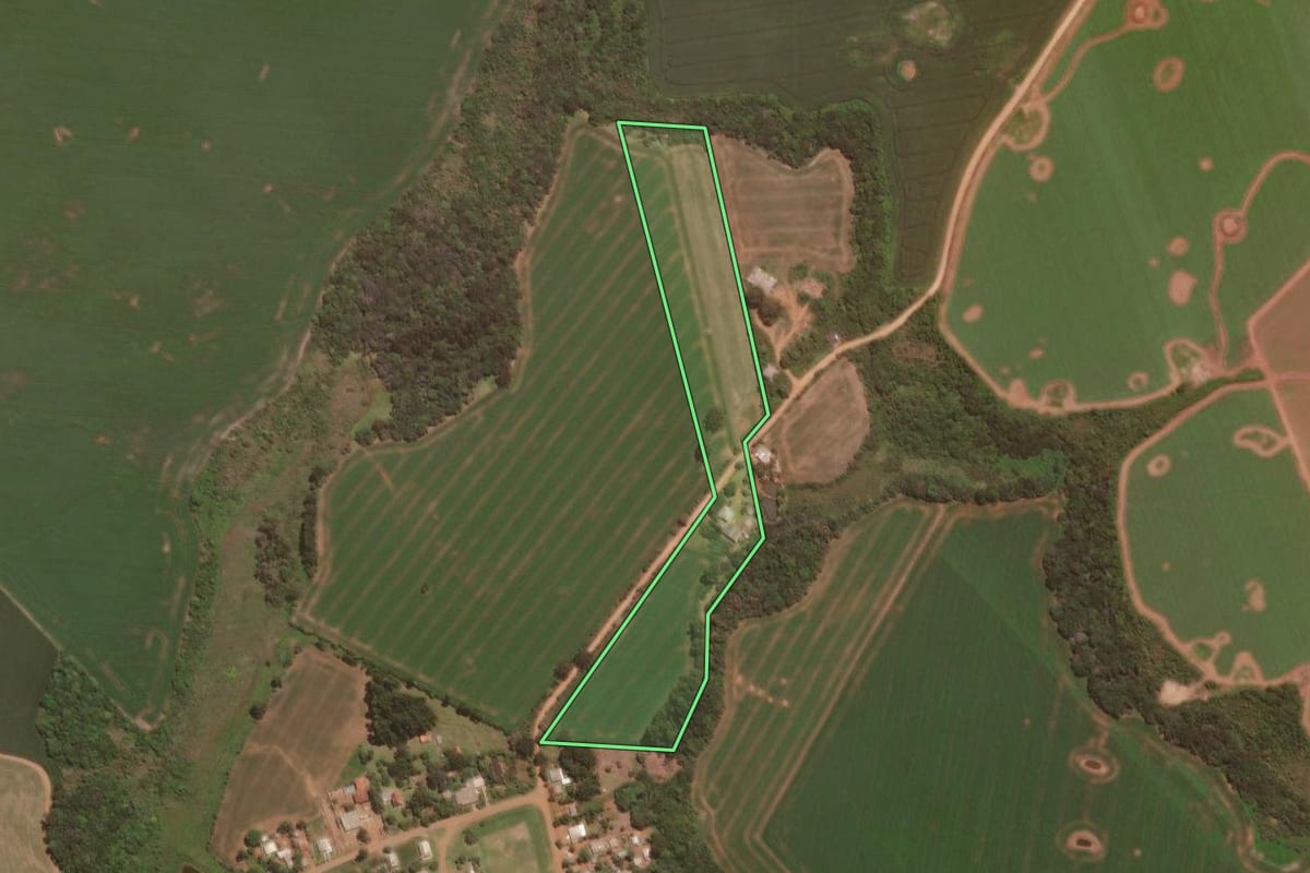 Imagem de satélite do imóvel rural em Reserva do Iguaçu (PR), com o contorno declarado no CAR desenhado por cima.