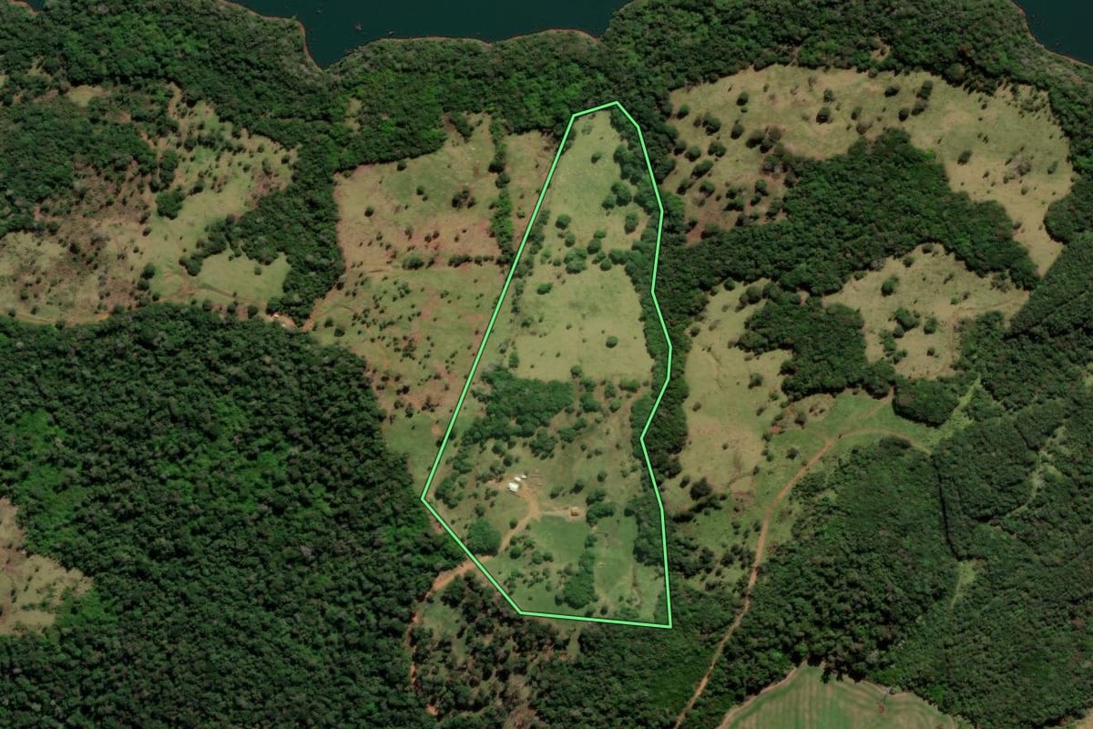 Imagem de satélite do imóvel rural em Reserva do Iguaçu (PR), com o contorno declarado no CAR desenhado por cima.