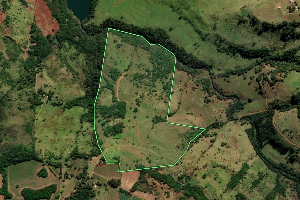 Imagem de satélite do imóvel rural em Reserva do Iguaçu (PR), com o contorno declarado no CAR desenhado por cima.