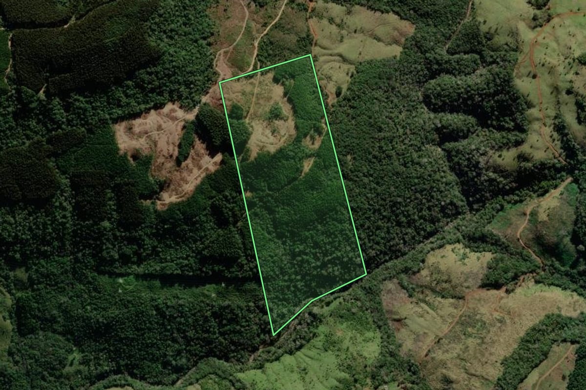 Imagem de satélite do imóvel rural em Reserva do Iguaçu (PR), com o contorno declarado no CAR desenhado por cima.