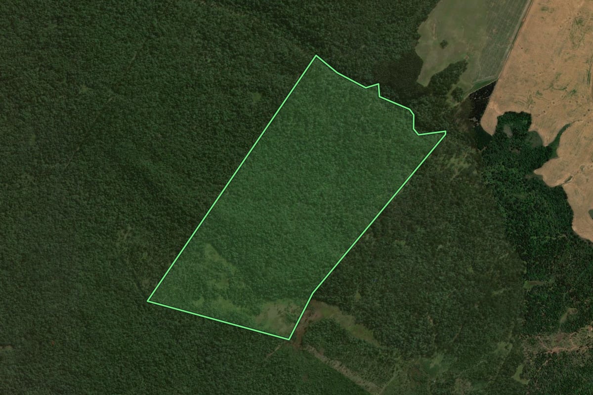 Imagem de satélite do imóvel rural em Reserva do Iguaçu (PR), com o contorno declarado no CAR desenhado por cima.