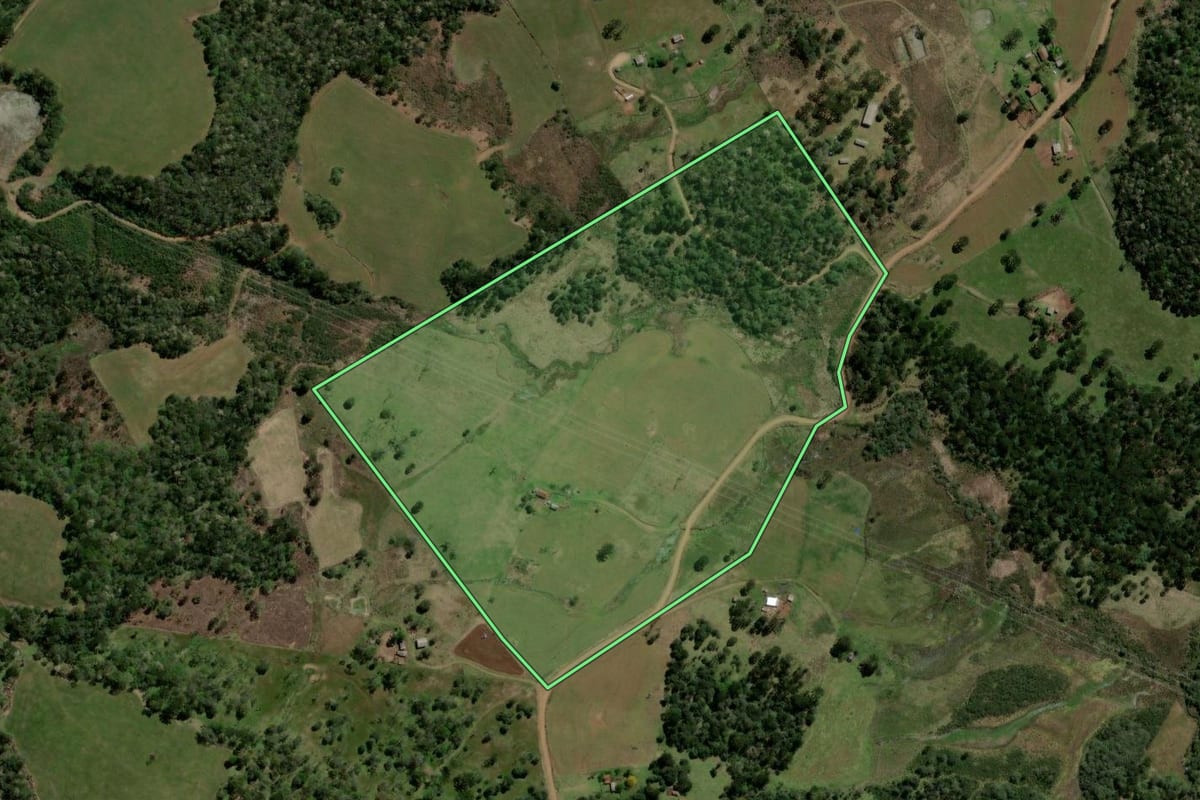 Imagem de satélite do imóvel rural em Reserva do Iguaçu (PR), com o contorno declarado no CAR desenhado por cima.