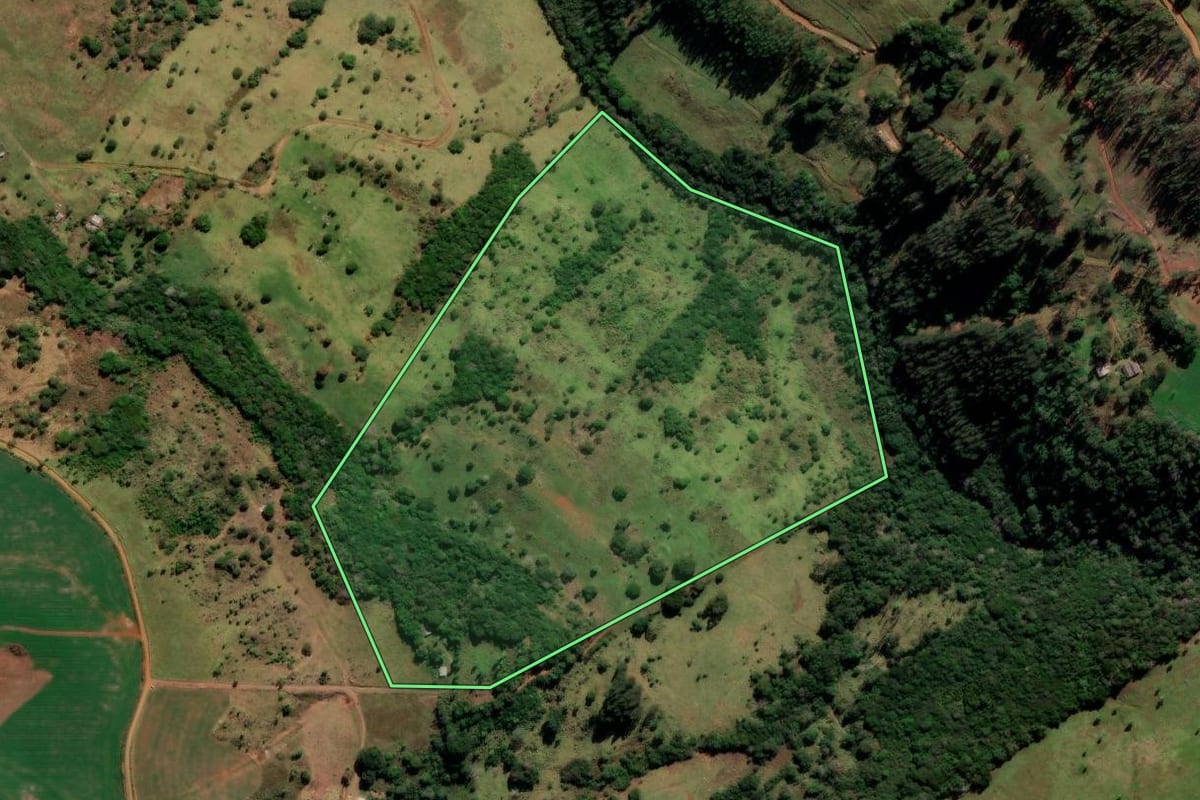 Imagem de satélite do imóvel rural em Reserva do Iguaçu (PR), com o contorno declarado no CAR desenhado por cima.