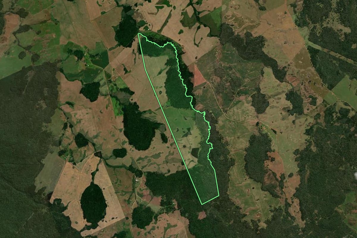 Imagem de satélite do imóvel rural em Reserva do Iguaçu (PR), com o contorno declarado no CAR desenhado por cima.