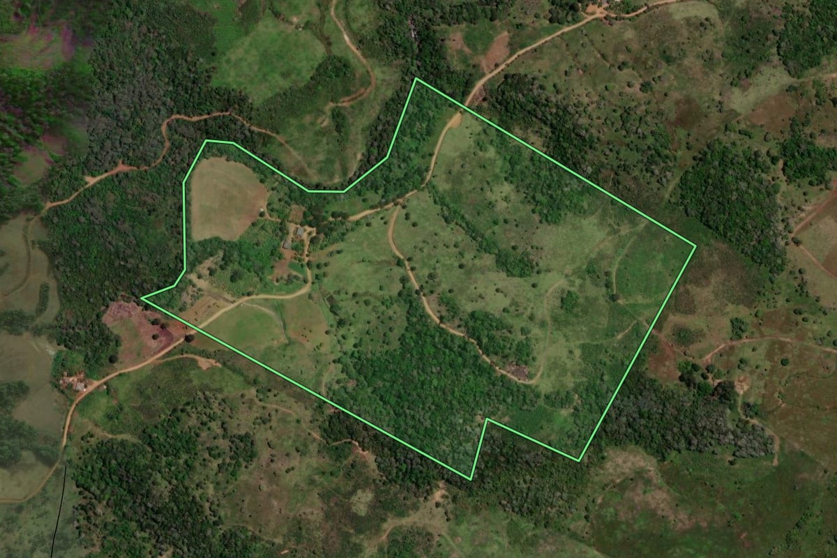 Imagem de satélite do imóvel rural em Reserva do Iguaçu (PR), com o contorno declarado no CAR desenhado por cima.