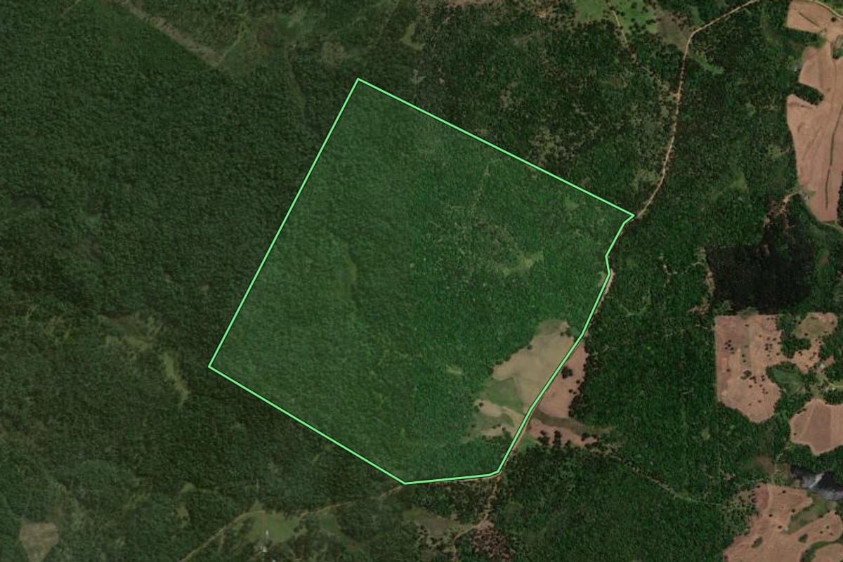 Imagem de satélite do imóvel rural em Reserva do Iguaçu (PR), com o contorno declarado no CAR desenhado por cima.