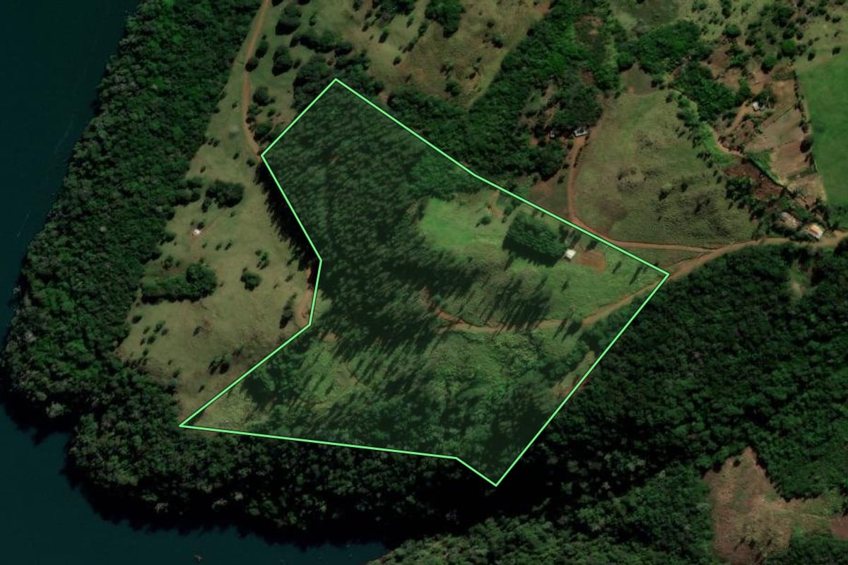 Imagem de satélite do imóvel rural em Reserva do Iguaçu (PR), com o contorno declarado no CAR desenhado por cima.