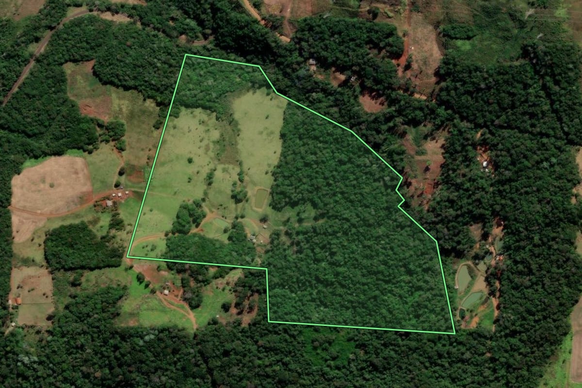 Imagem de satélite do imóvel rural em Reserva do Iguaçu (PR), com o contorno declarado no CAR desenhado por cima.