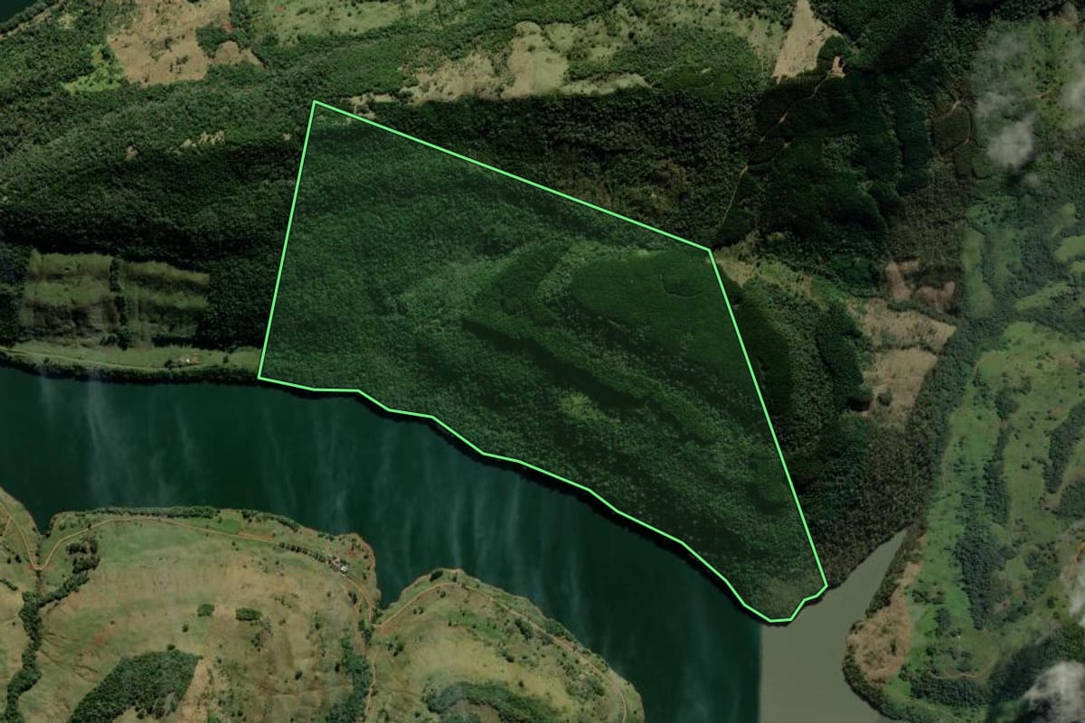 Imagem de satélite do imóvel rural em Reserva do Iguaçu (PR), com o contorno declarado no CAR desenhado por cima.