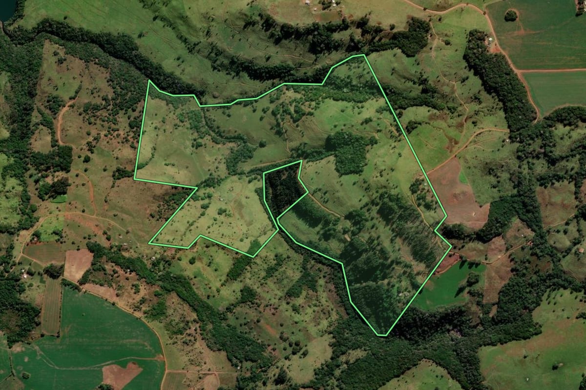 Imagem de satélite do imóvel rural em Reserva do Iguaçu (PR), com o contorno declarado no CAR desenhado por cima.
