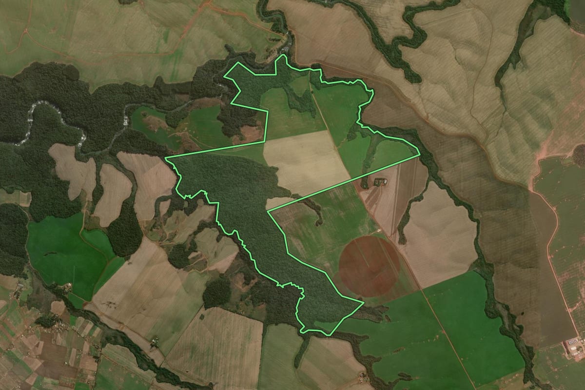 Imagem de satélite do imóvel rural em Reserva do Iguaçu (PR), com o contorno declarado no CAR desenhado por cima.