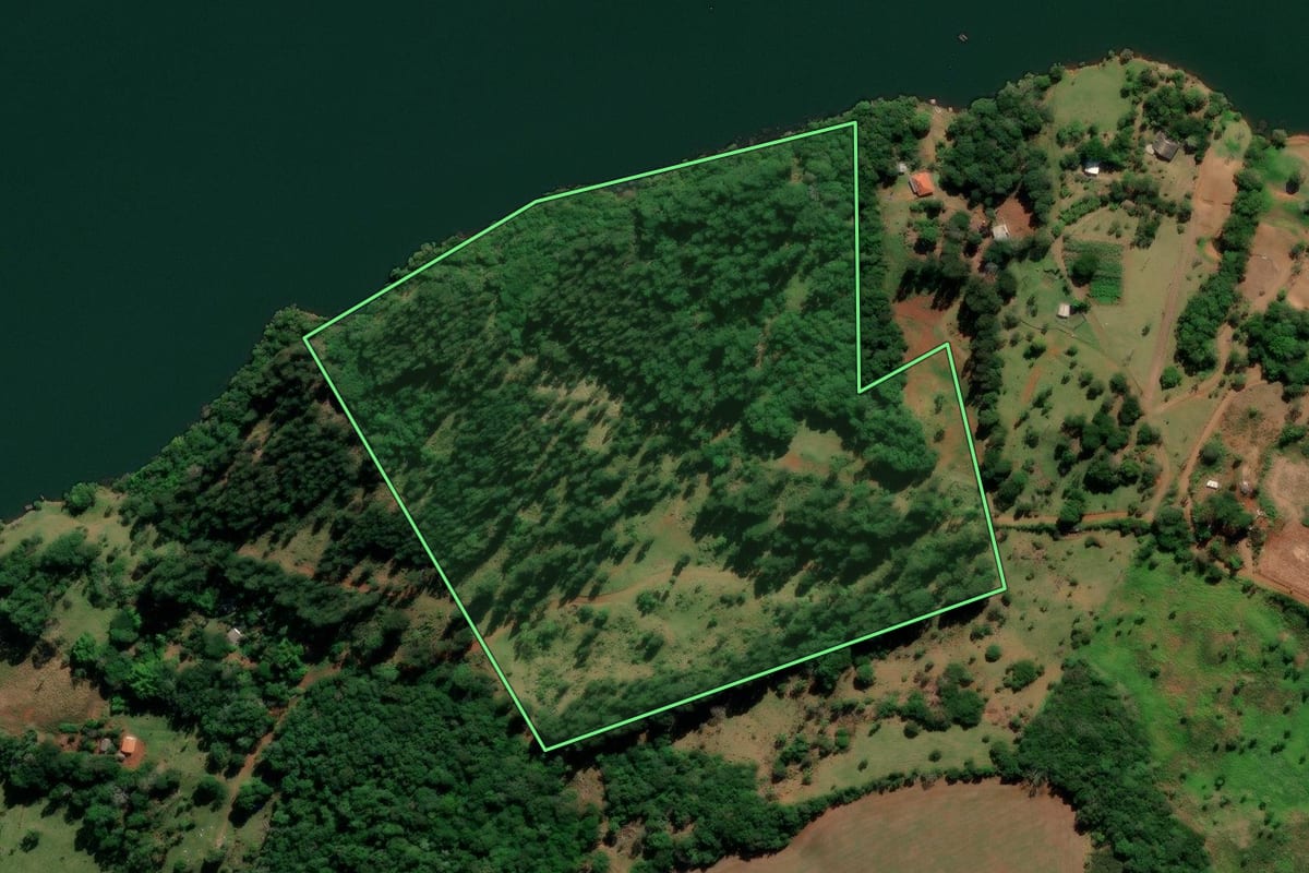 Imagem de satélite do imóvel rural em Reserva do Iguaçu (PR), com o contorno declarado no CAR desenhado por cima.