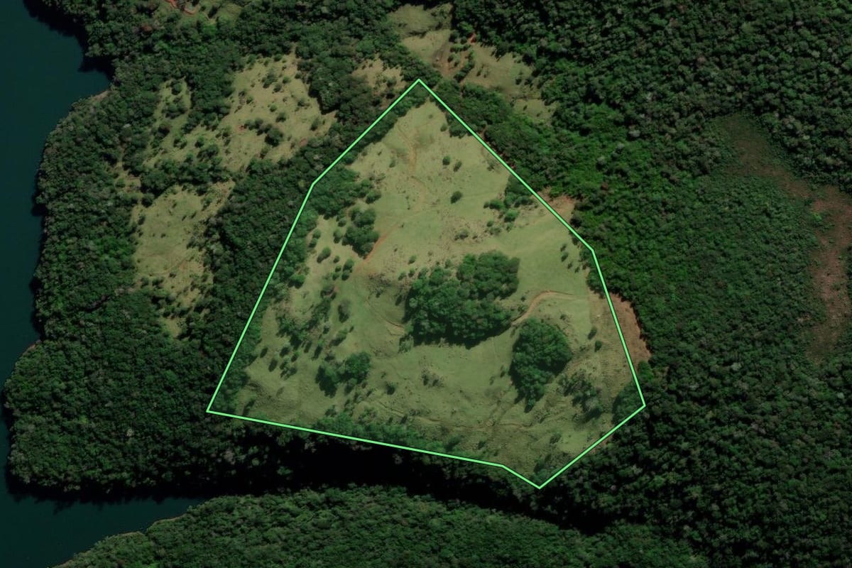Imagem de satélite do imóvel rural em Reserva do Iguaçu (PR), com o contorno declarado no CAR desenhado por cima.