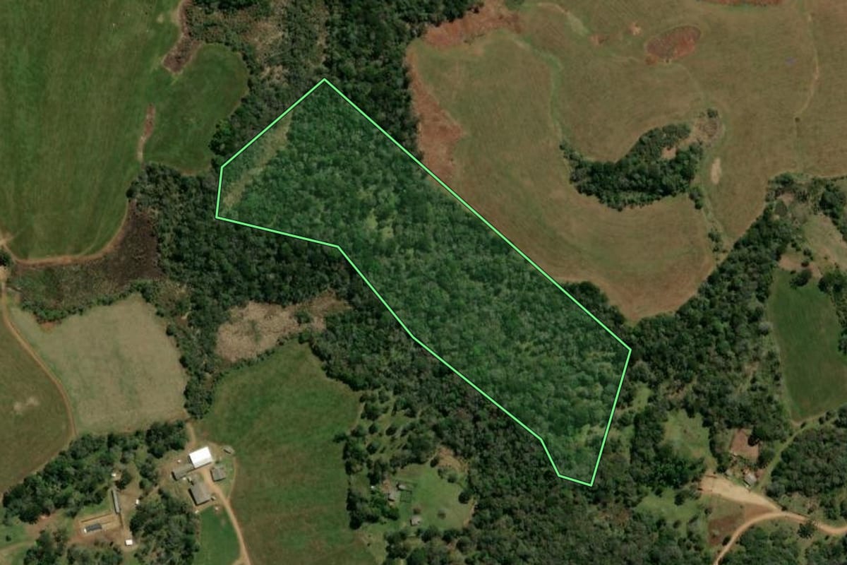 Imagem de satélite do imóvel rural em Reserva do Iguaçu (PR), com o contorno declarado no CAR desenhado por cima.