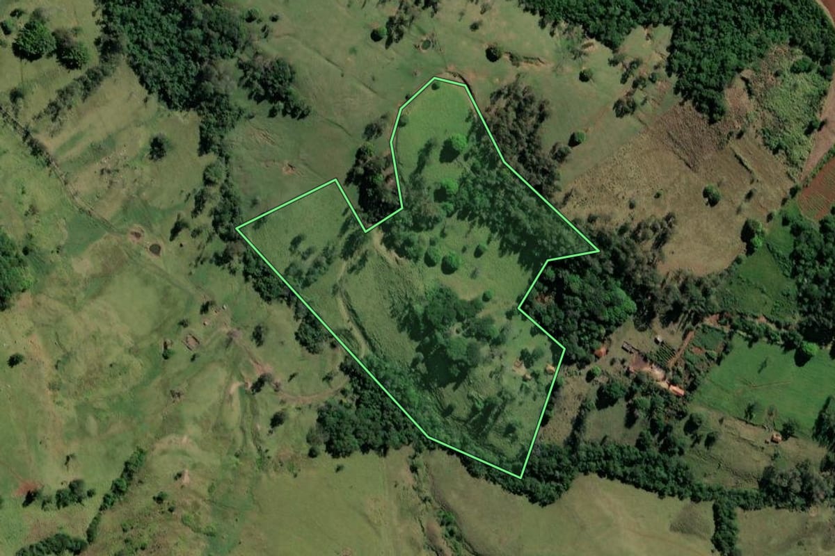 Imagem de satélite do imóvel rural em Ribeirão Claro (PR), com o contorno declarado no CAR desenhado por cima.