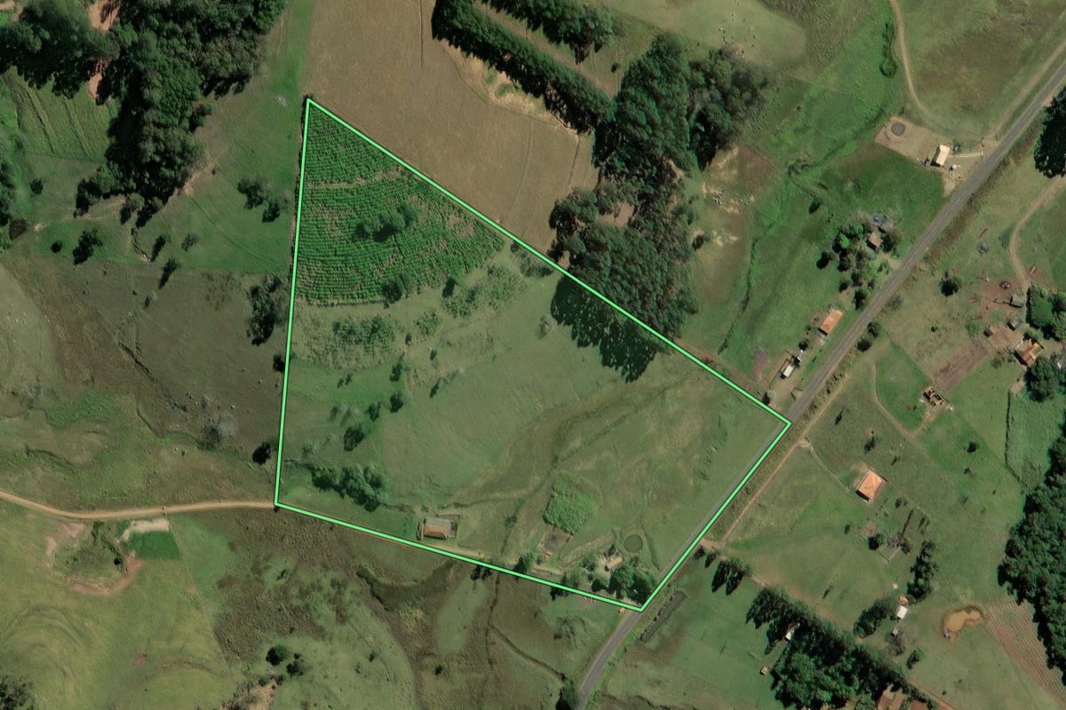 Imagem de satélite do imóvel rural em Ribeirão Claro (PR), com o contorno declarado no CAR desenhado por cima.