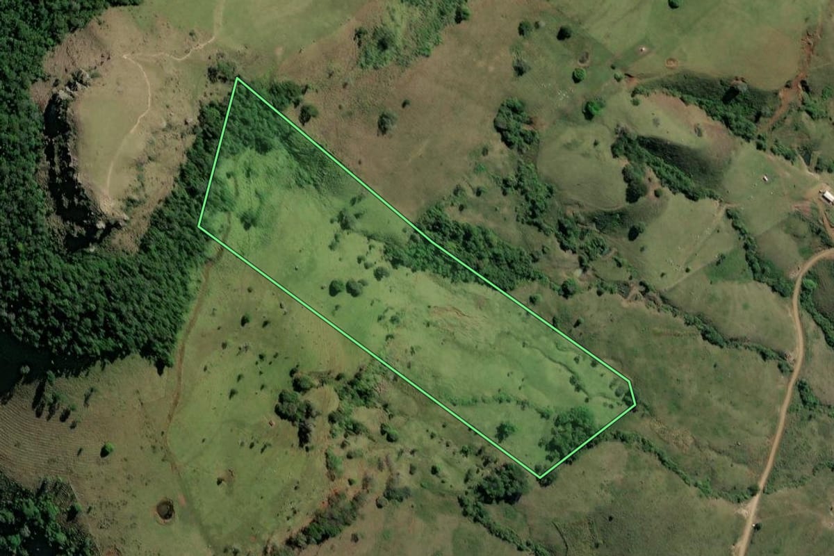Imagem de satélite do imóvel rural em Ribeirão Claro (PR), com o contorno declarado no CAR desenhado por cima.